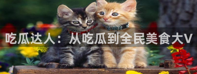 黑料免费：吃瓜达人：从吃瓜到全民美食大V