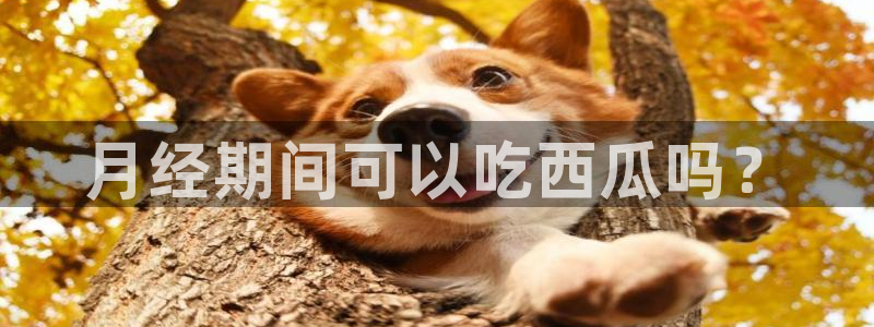 51吃瓜今日吃瓜必吃莫里秀：月经期间可以吃西瓜吗？
