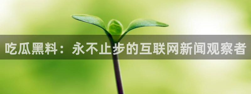 ccgg今日吃瓜
