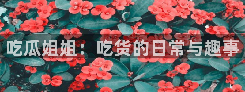 吃瓜.：吃瓜姐姐：吃货的日常与趣事