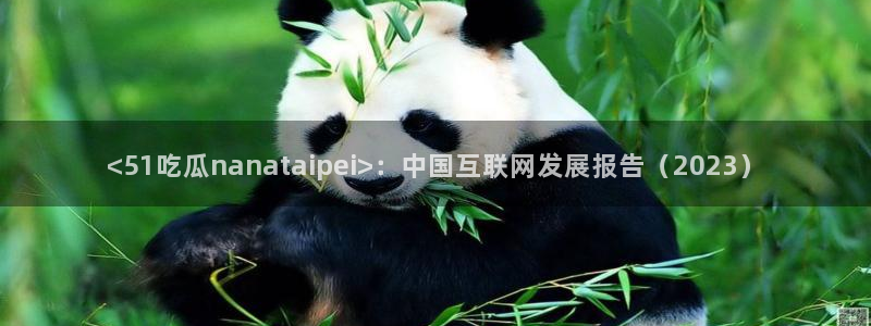 黑料软件：<51吃瓜nanataipei>：中国互联网发展报告（2023）
