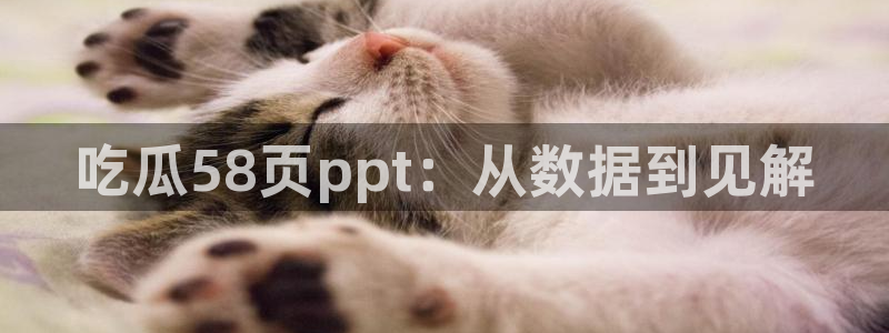 黑料,：吃瓜58页ppt：从数据到见解