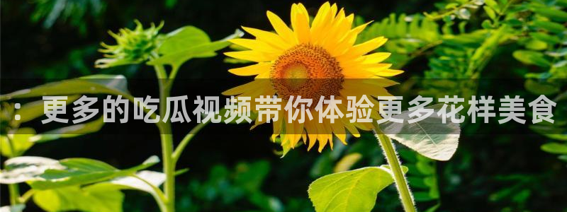 吃瓜www：：更多的吃瓜视频带你体验更多花样美食