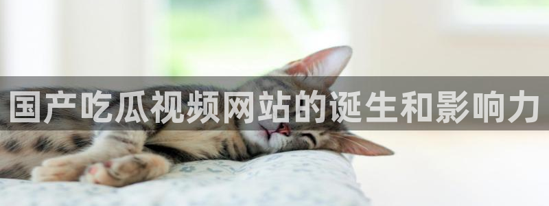 51全网更新最快最全的吃瓜网：国产吃瓜视频网站的诞生和影响力