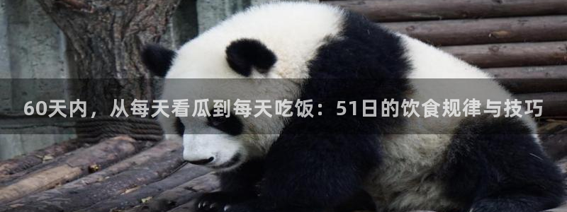 51吃瓜 张津瑜：60天内，从每天看瓜到每天吃饭：51日的饮食规律与技巧