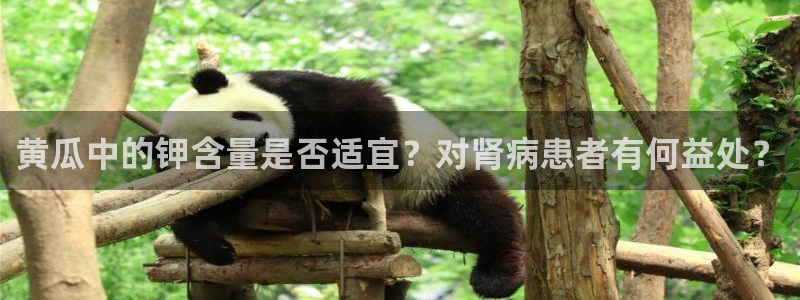 51吃瓜网张津瑜：黄瓜中的钾含量是否适宜？对肾病患者有何益处？