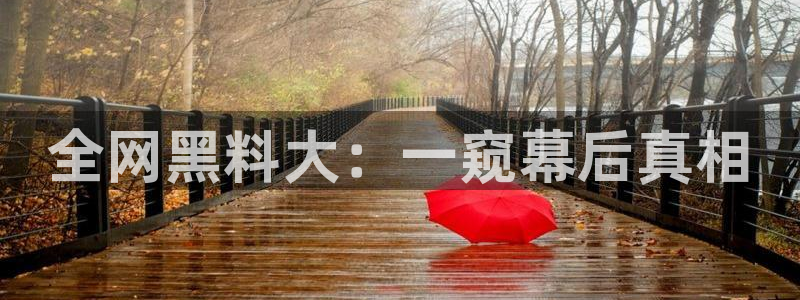 黑料揭秘：全网黑料大：一窥幕后真相