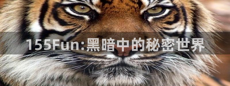 吃瓜什么意思：155Fun:黑暗中的秘密世界