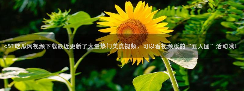 板栗瓜怎样做最好吃：<51吃瓜网视频下载最近更新了大量热门美食视频，可以看视频版的“五人团”活动哦！