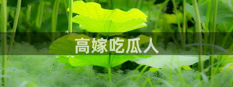 黑料 爆料：高嫁吃瓜人